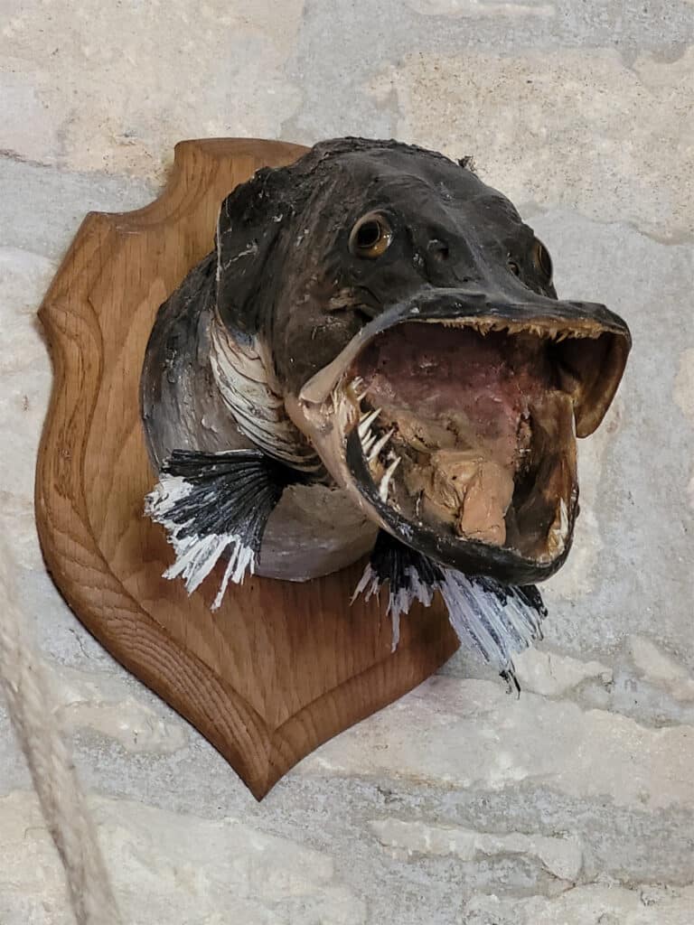 Donjon et Manoir de la Salle objet7