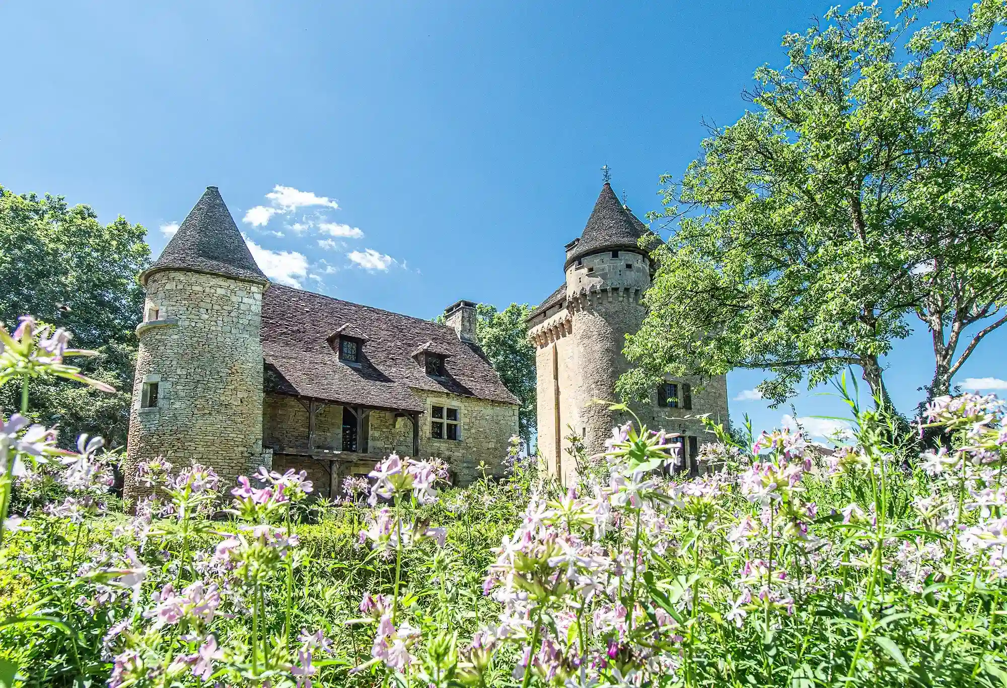 donjon manoir et jardin de la salle