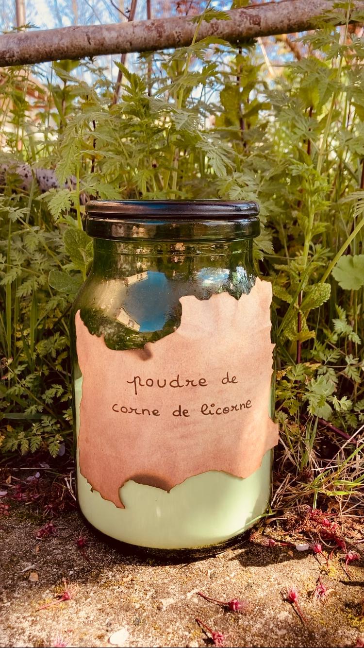Atelier Fossiles 4