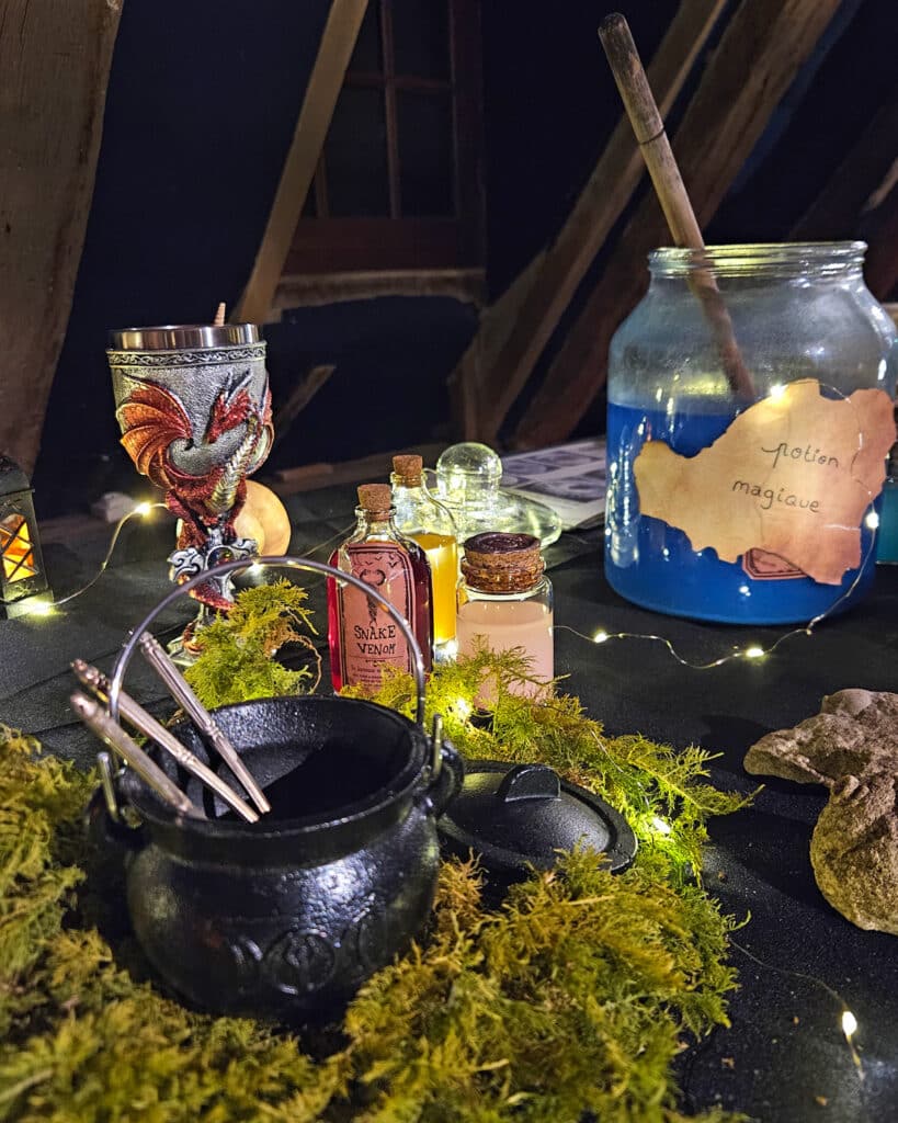 atelier fossiles et creatures5