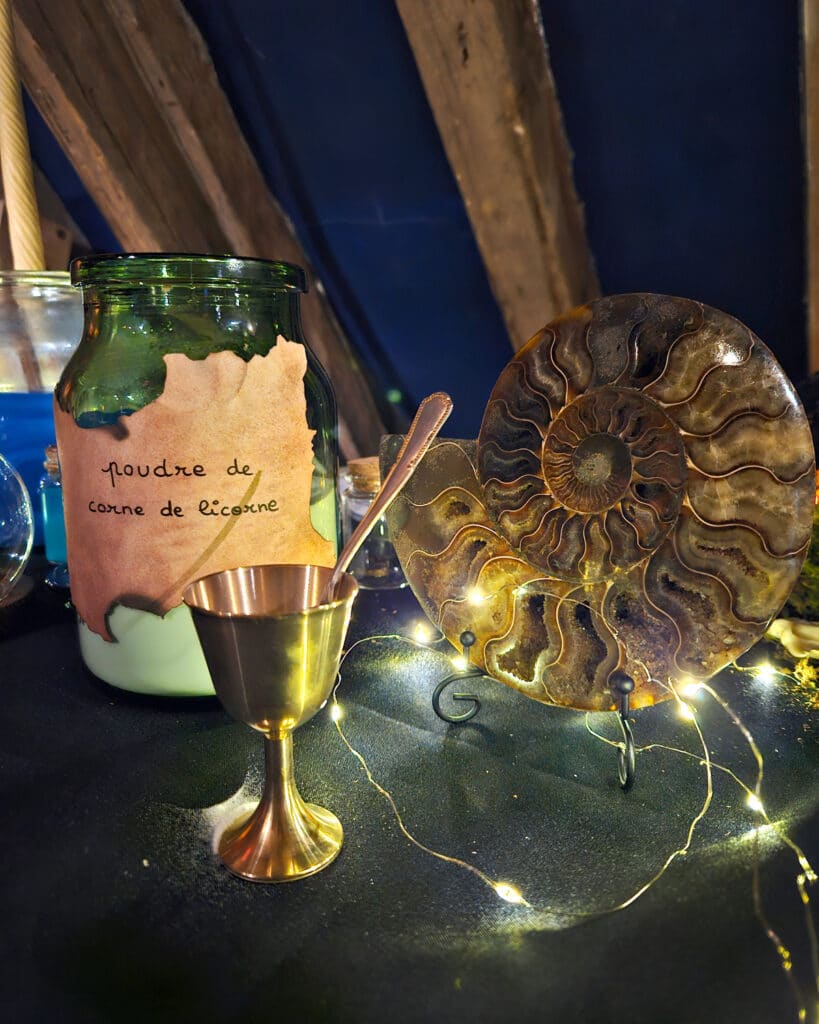 atelier fossiles et creatures3