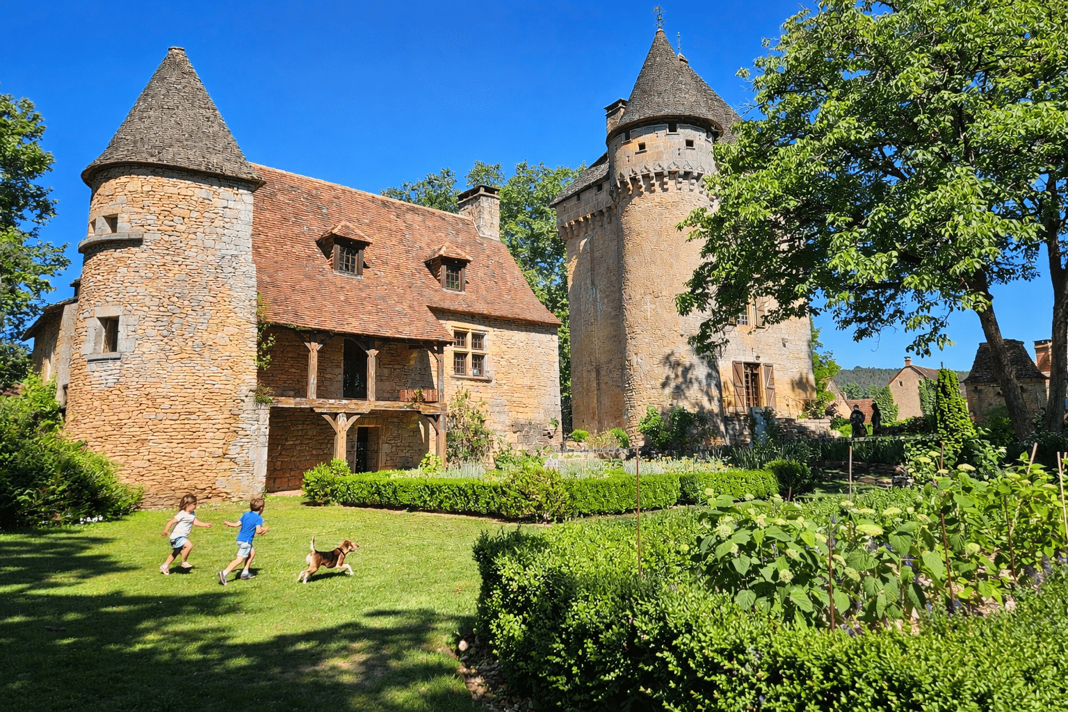 Don Manoir de la salle jeux enfant chien